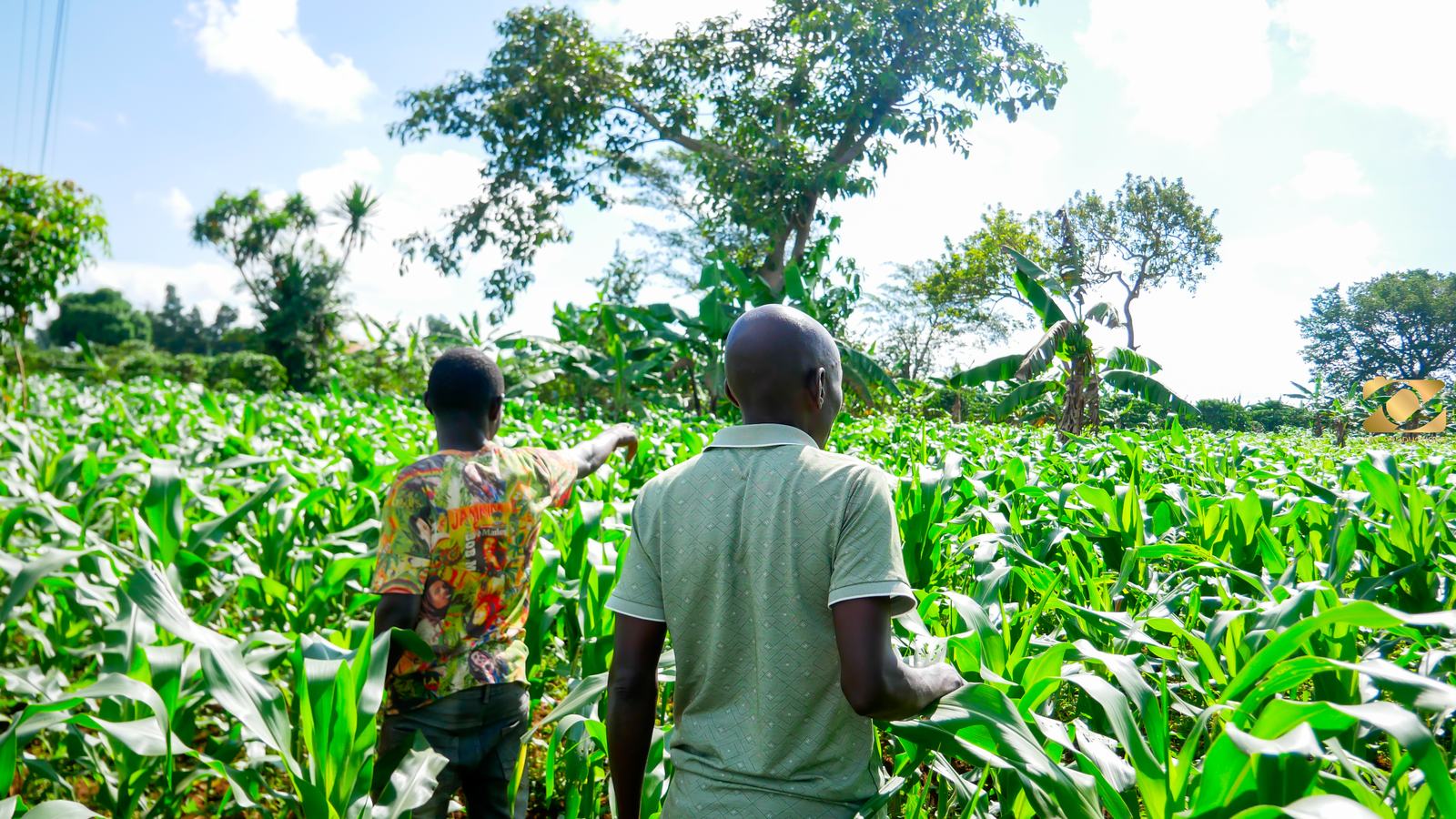 Emmanuel Ssemyalo: A Young Farmer Embracing Climate-Resilient Agriculture
