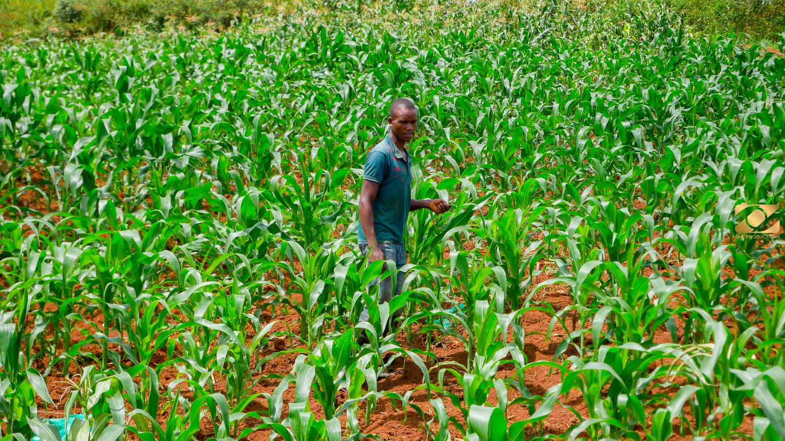 Joseph Mugema: Cultivating Change Beyond His Farm