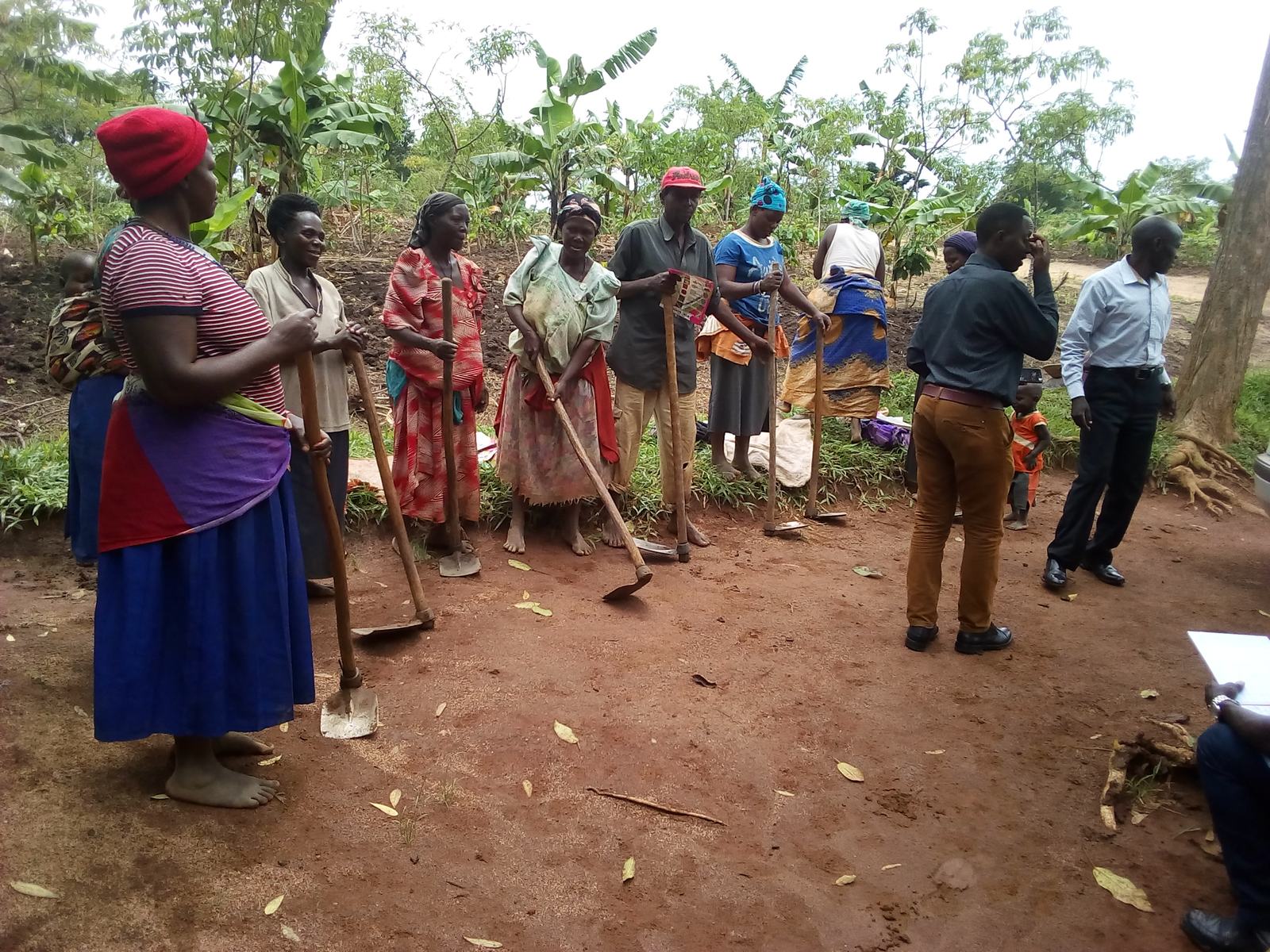 Addressing the Root Cause: Introducing Agriculture