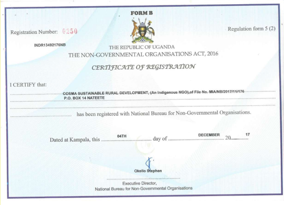 Transition to an NGO