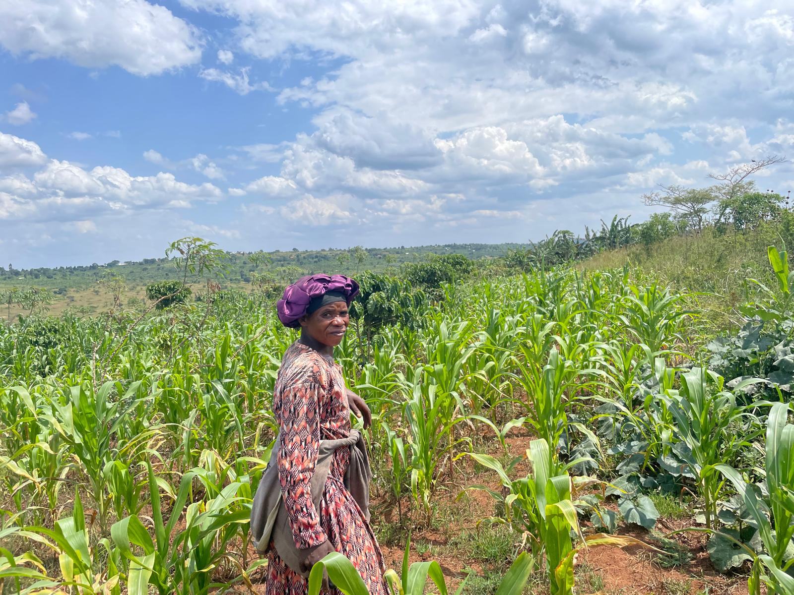 Smallholder farmers in Uganda